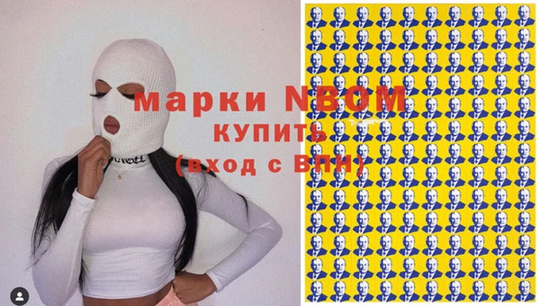 прущие грибы Абаза
