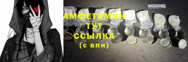 прущие грибы Абаза